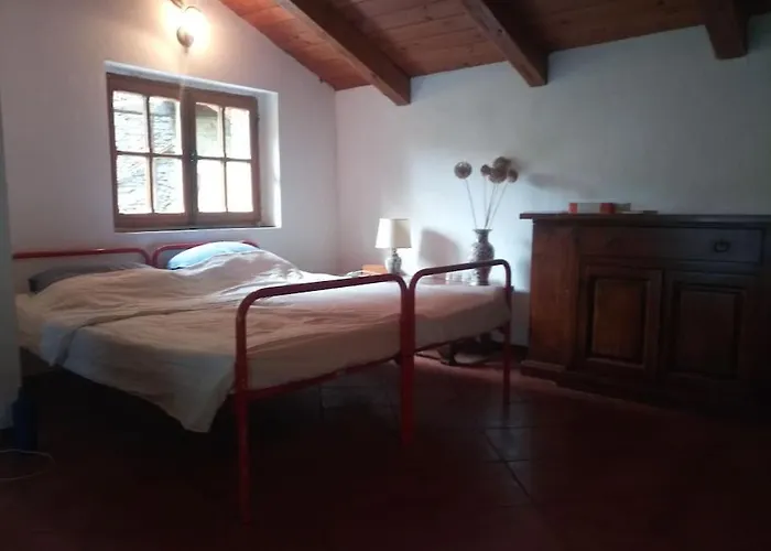 L'ontano Sulle Alpi